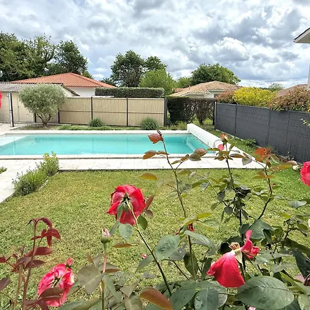 Du Bassin - - Bassin D'arcachon Villa *
